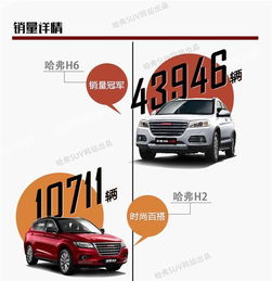 網通社汽車佳木斯安信 專業銷售服務，驅動龍江出行新體驗